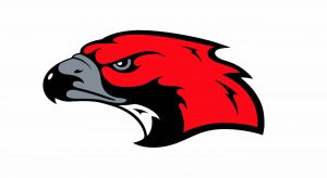 North Tama Schools Logo: Redhawk head with gray beak and black outline