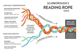 Reading Rope