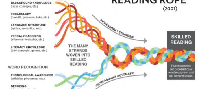 Let’s talk about the science of reading